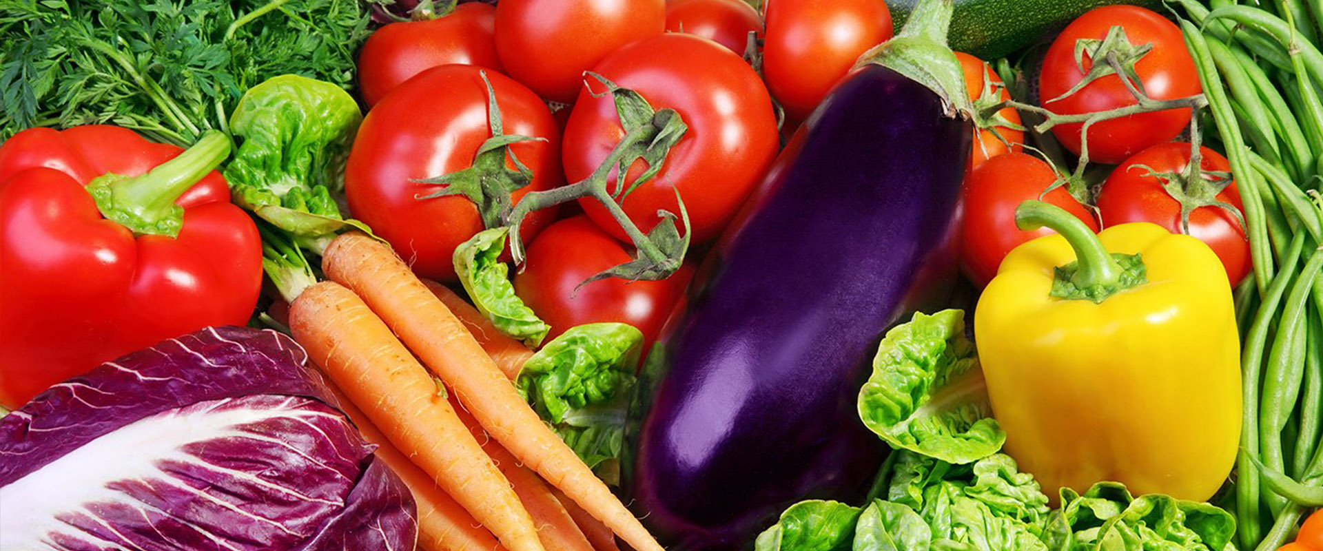 Agroalimentaire Universallys