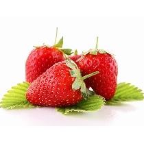 Strawberrie Universallys