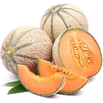 Cantaloupe Universallys