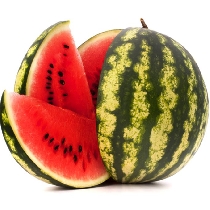 Watermelon Universallys