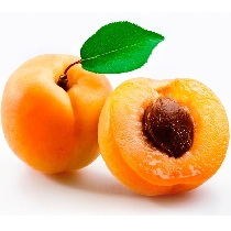 Apricot Universallys