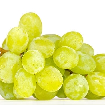Muscat
