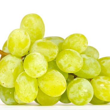 Muscat