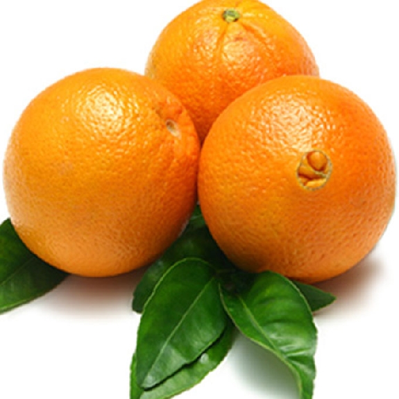 Navel