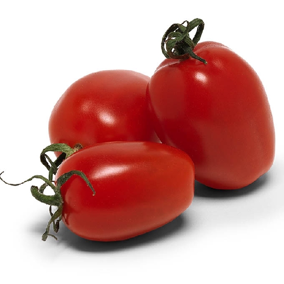 Tomate allongée
