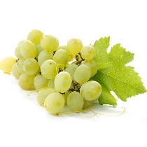 Superior seedless